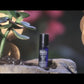 HeLi - Now & Zen Roll-On